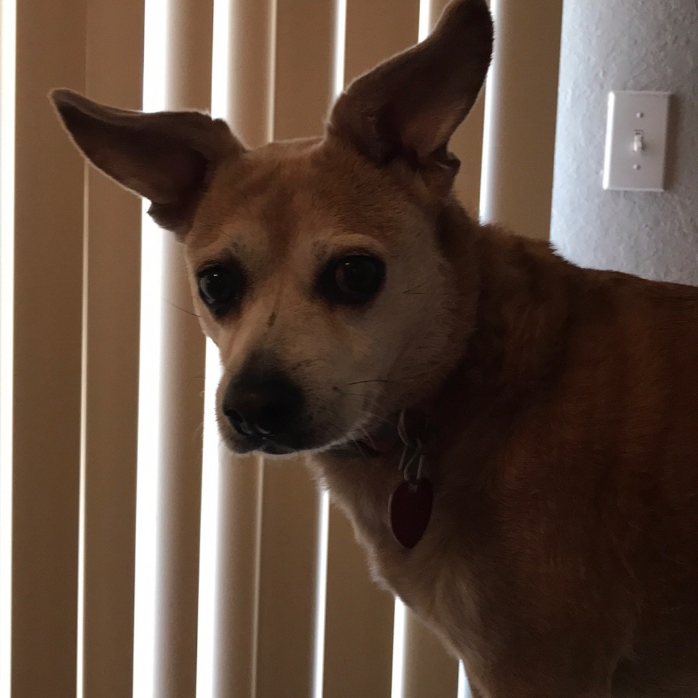 Meet your Posher, Teri